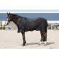 Chemise Séchante Venti Jersey/Mesh — Harry's Horse Chemise Séchante Venti Jersey/Mesh — Harry's Horse