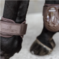 Protèges-boulets jeunes chevaux Kentucky Marron Protèges-boulets jeunes chevaux Kentucky Marron