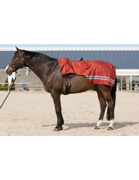 Couvre-reins Imperméable Doublé Polaire Orange — Harry's Horse