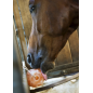 Pierre à sel de l'himalaya HippoTonic 1.5kg Pierre à sel de l'himalaya HippoTonic 1.5kg