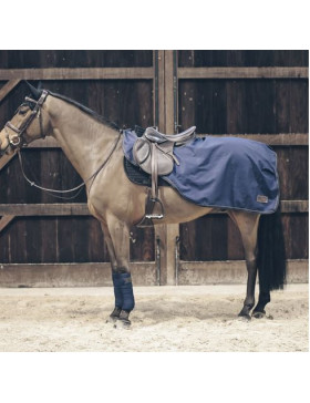 Couvre-reins All Weather 160g Marine Kentucky