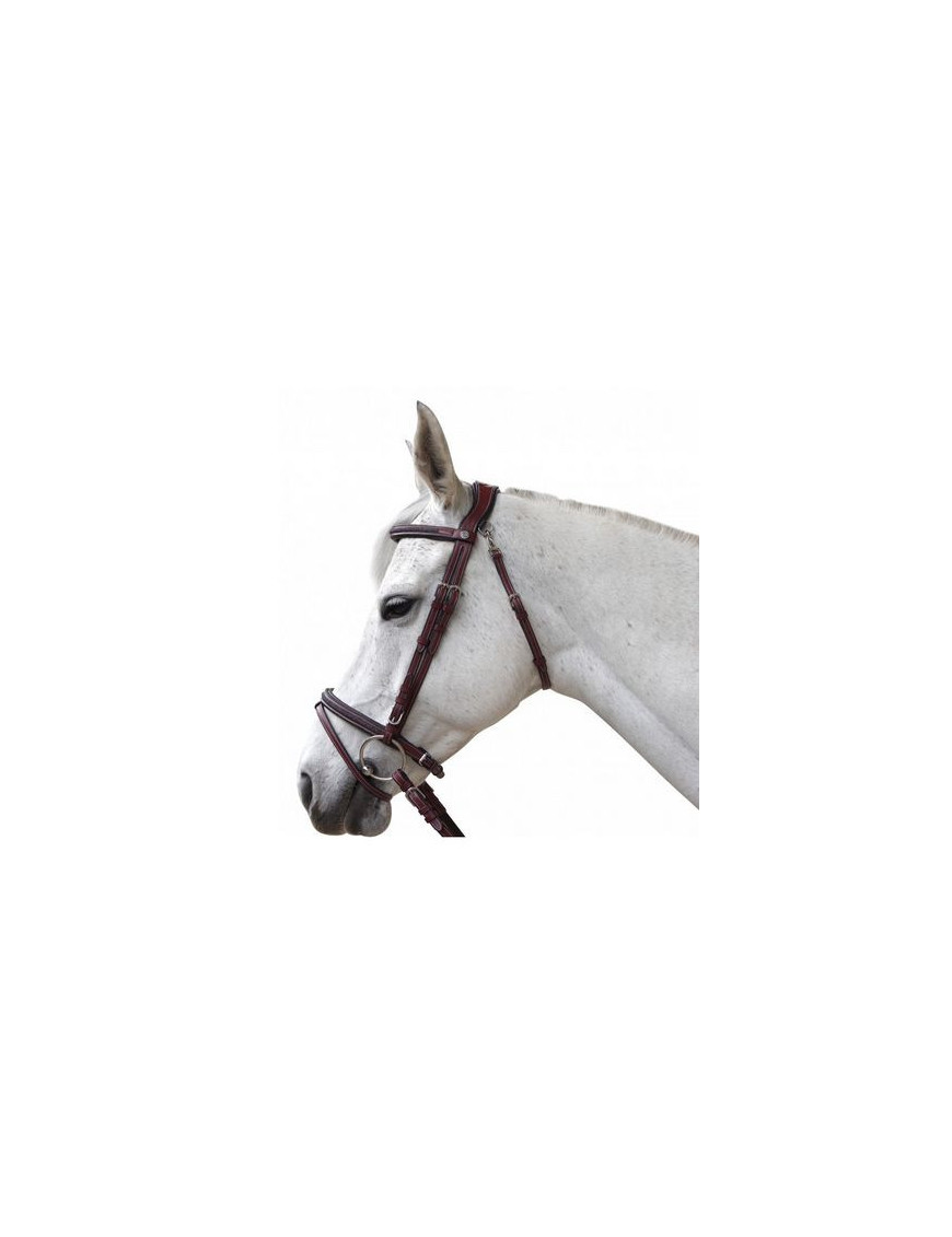 Bridon Flags and cup Aachen Marron
