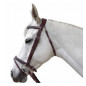 Bridon Flags and cup Aachen Marron