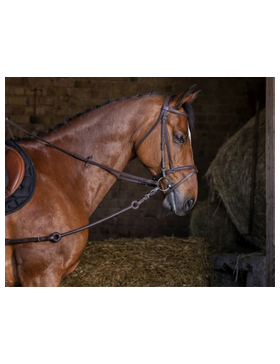 Riding World-Enrênement-Elastique