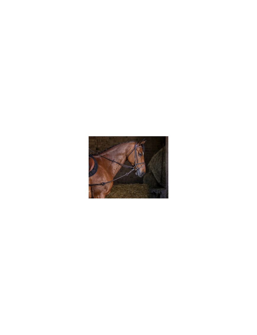 Enrênement Pirelli Elastique Riding World Enrênement Pirelli Elastique Riding World