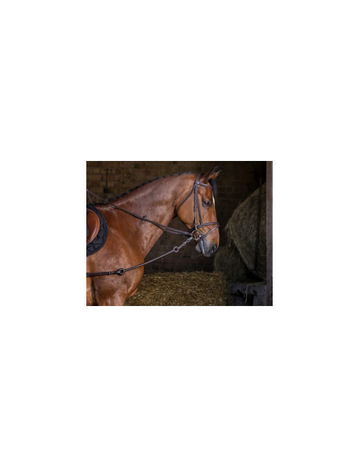 Riding World-Enrênement-Elastique