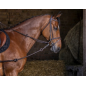 Enrênement Pirelli Elastique Riding World Enrênement Pirelli Elastique Riding World