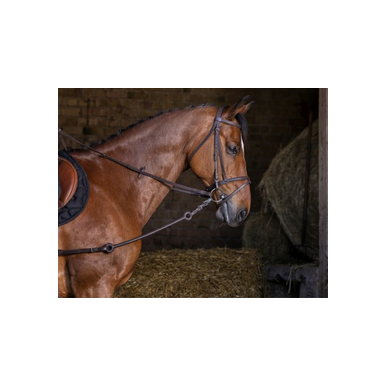 Riding World-Enrênement-Elastique 