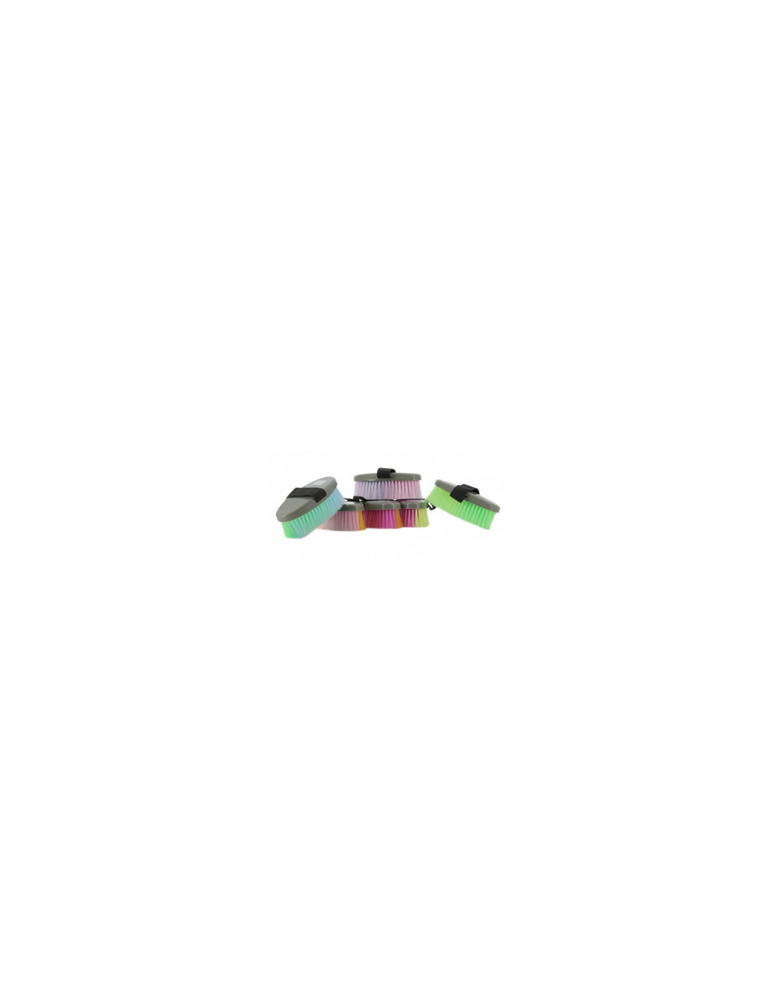 Rainbow Brosse Hippotonic