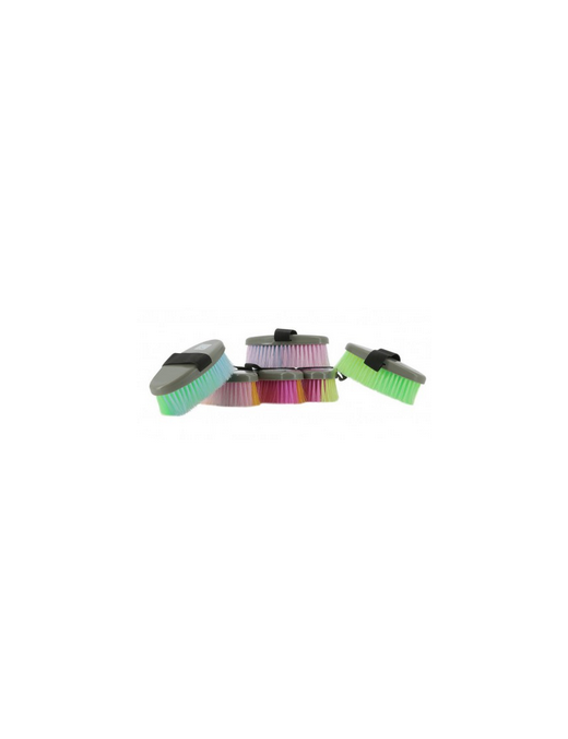 Hippo Tonic-Pansage-Rainbow Brosse