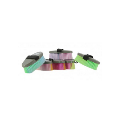 Hippo Tonic-Pansage-Rainbow Brosse