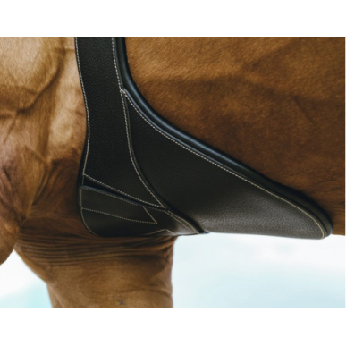 Norton Pro-Sangle-Bavette anatomique 