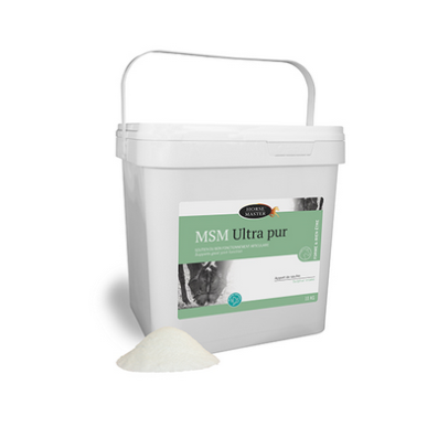 Horse Master-Compléments-MSM Ultra Pur 1 Kg
