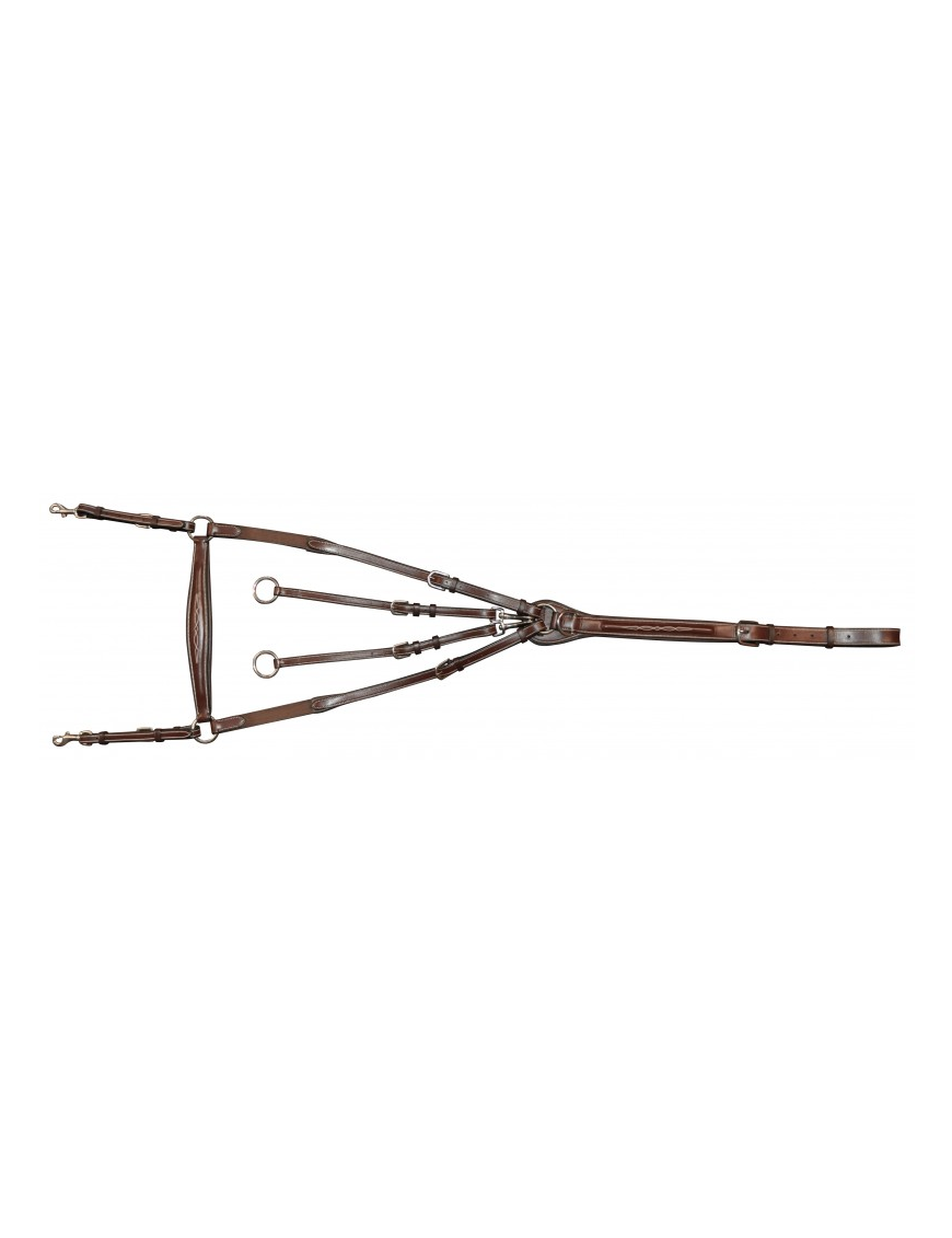 Collier de chasse Flags and cup Welligton marron