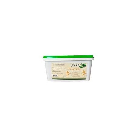 Complément alimentaire Gingembre Ungula 1.6L