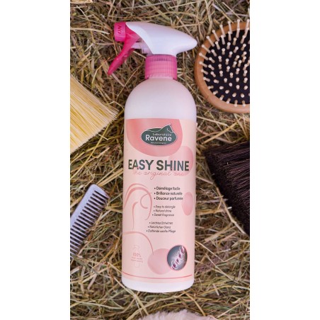 Démélant Easy Shine Ravene 750 ML
