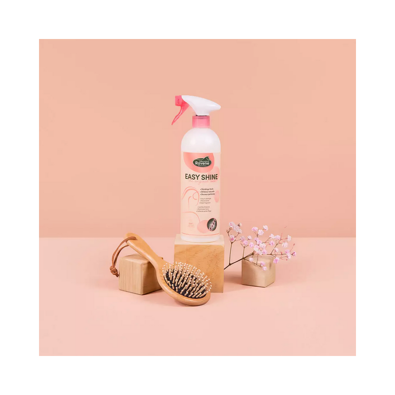 Démélant Easy Shine Ravene 750 ML Démélant Easy Shine Ravene 750 ML