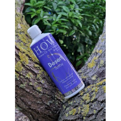 Nettoyant sans rinçage Desert spray How 500ml