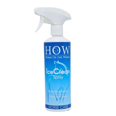iceClean Spray HOW 500ml