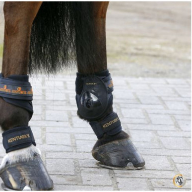 Kentucky - Protections - Protége Paturons