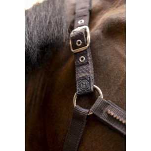 Licol et longe cheval Harcour Amour cacao