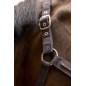 Licol et longe cheval Harcour Amour cacao