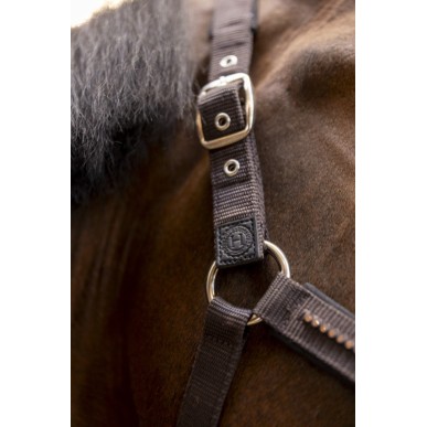 Licol et longe cheval Harcour Amour cacao