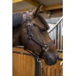 Licol et longe cheval Harcour Amour cacao