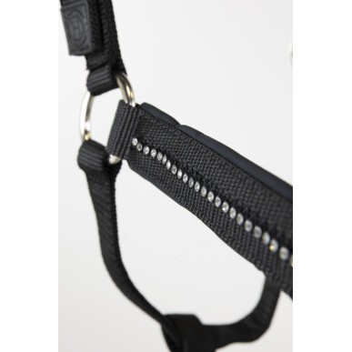 Licol et longe COB Harcour Amour noir