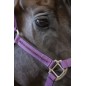 Licol et longe cheval Harcour Amour figue