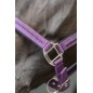 Licol et longe cheval Harcour Amour figue