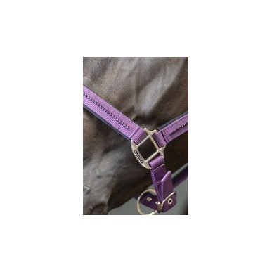 Licol et longe cheval Harcour Amour figue
