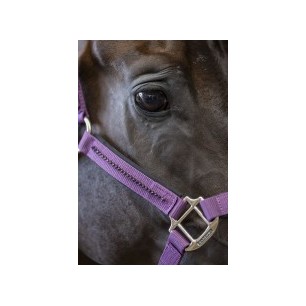 Licol et longe poney Harcour Amour figue