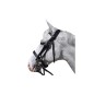 Bridon Flags and cup Hagen noir Bridon Flags and cup Hagen noir
