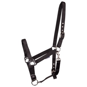 Licol réglable 3 points Harry's Horse noir