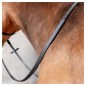 Rênes caoutchouc noires Kris Xtreme Harry's Horse Rênes caoutchouc noires Kris Xtreme Harry's Horse