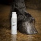 Huile pour sabots Natural Brush Bottle 200 ml