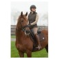 Veste sans manches à capuche Harry's horse Sporty scotti marron