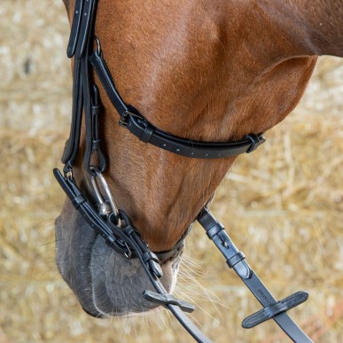 Bridon Anatomic Black Crystal Harry's Horse