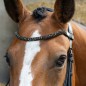 Bridon Anatomic Black Crystal Harry's Horse Bridon Anatomic Black Crystal Harry's Horse