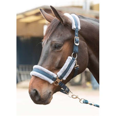 Licol et Longe Harry's horse Just ride retro soft marine