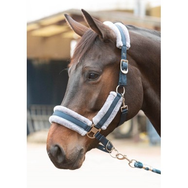 Licol et Longe Harry's horse Just ride retro soft marine