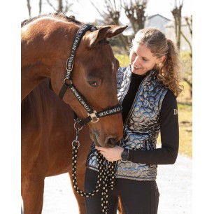 Licol et Longe Harry's horse Denici cavalli stardust noir