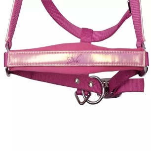 Licol et Longe Harry's horse Diva violet rose