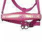 Licol et Longe Harry's horse Diva violet rose
