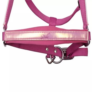 Licol et Longe Harry's horse Diva violet rose