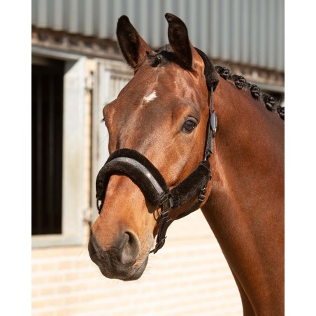 Licol et Longe Harry's horse Denici cavalli Stardust soft noir