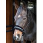 Licol Harry's horse lyrics quotes noir