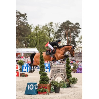 Gilet Air Bag Horse Pilot Unisex Twist'Air noir