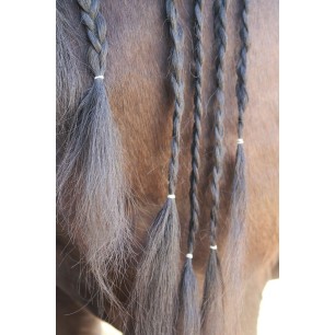 Sac d'élastiques à crinière Harry's horse Magic braids transparents